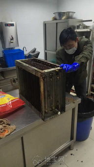 油煙機(jī)與冰箱專(zhuān)業(yè)維修保養(yǎng)服務(wù)