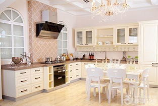 廚房家電保養(yǎng)與維修全攻略